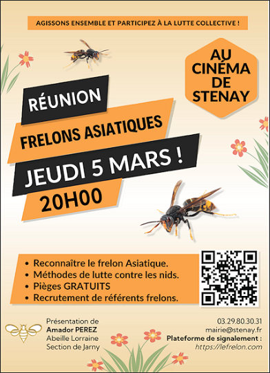 Réunion d'information sur le frelon asiatique le jeudi 05 mars à 20 h à l'Autre cité