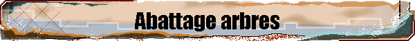 Abattage arbres