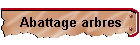 Abattage arbres
