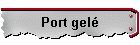 Port gel