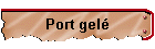 Port gel